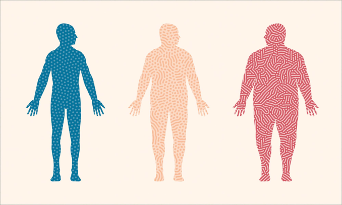 1- News | BIOM Probiotics | Sarasota | Microbiome’s health | Gut Microbiome