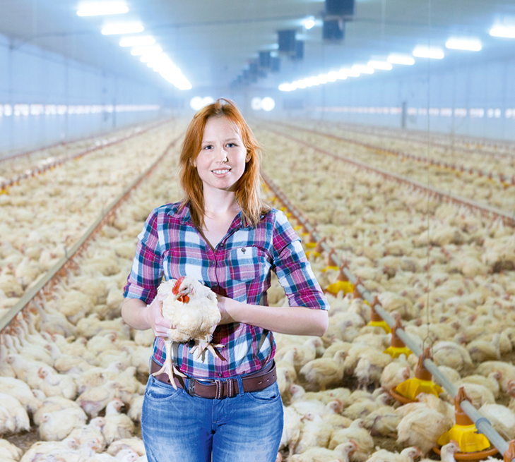 1- BIOM Probiotics | Digestive Probiotics | Probiotics|Probiotic-chickens