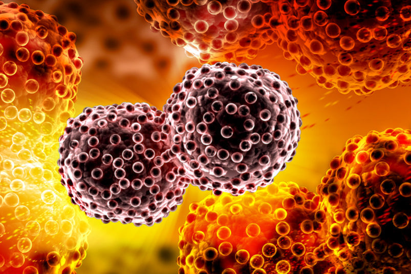 1- News | BIOM Probiotics | Sarasota | Microbiome’s health | Microbiota|The-Microbiome-Impact-on-Cancer-Therapy