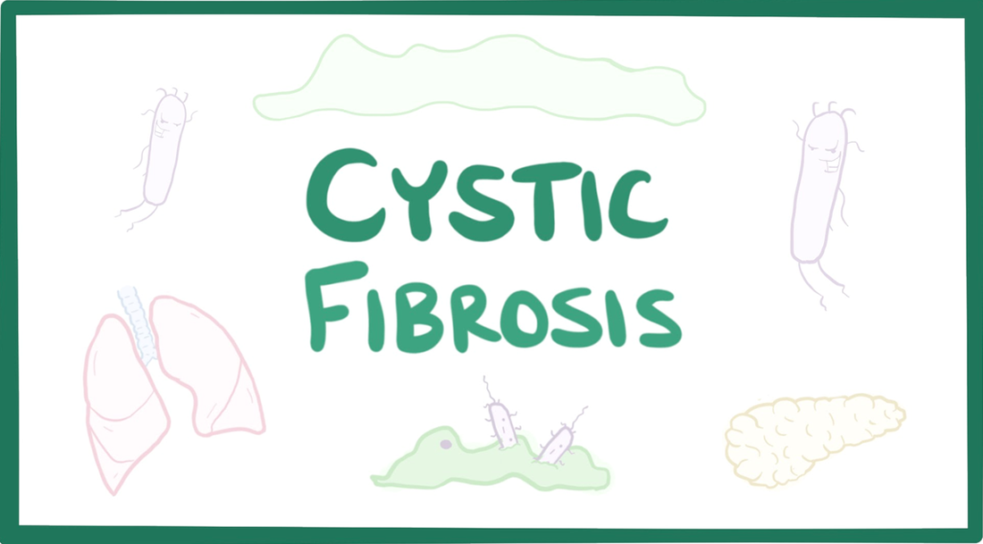 1- News | BIOM Probiotics | Sarasota | Microbiome’s health | Dysbiotic Gut Microbiome|Gut-Microbiome-In-CF