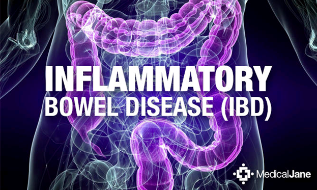 1- News | BIOM Probiotics | Sarasota | Microbiome’s health | Inflammatory Bowel Disease|Appetite-Loss