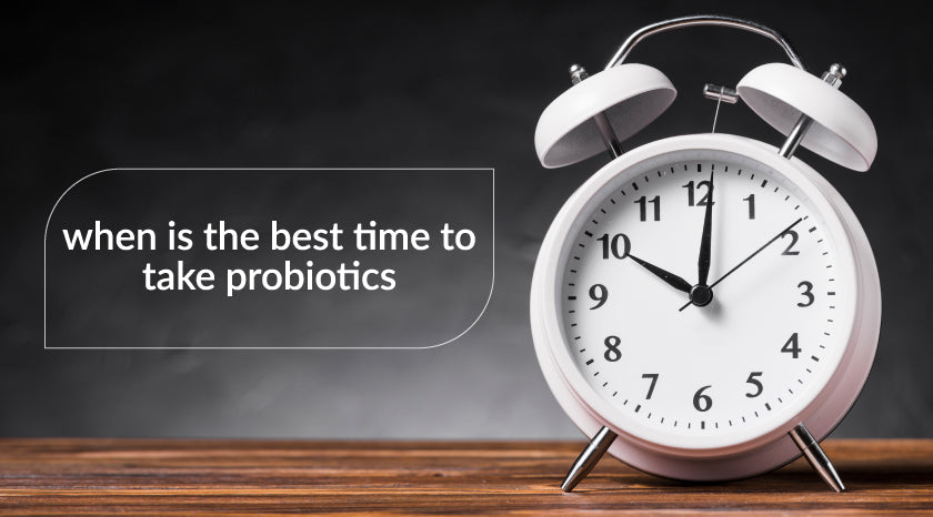 When is the best time to take probiotics|feminine-probiotic