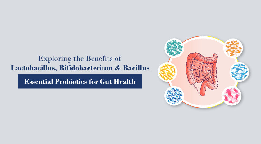 Benefits of Lactobacillus, Bifidobacterium, and Bacillus|