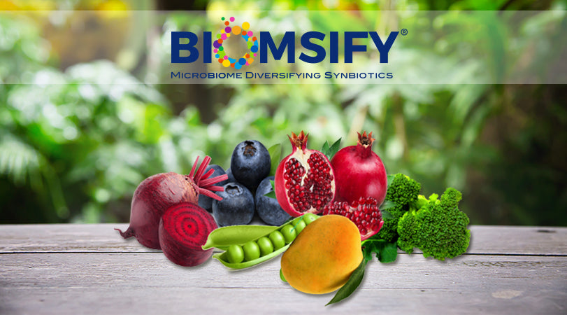 1- What is Microbiome Super Prebiotics? | Prebiotic Fibers | BIOM Probiotics