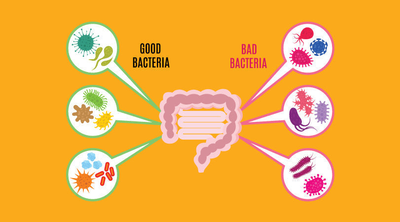 1- What is Vaginal Microbiome Dysbiosis? Does it matter, Yes | Biom||Cancer and Vaginal|Vaginal Dysbiosis||Reproduction and Vagina|What-is-Vaginal-Microbiome-Dysbiosis?