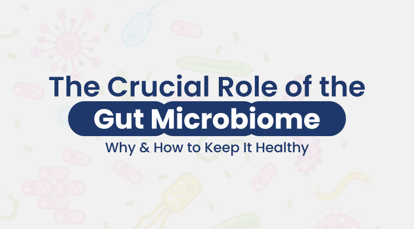 Crucial-Role-of-the-Gut-Microbiome|Crucial Role of the Gut Microbiome|