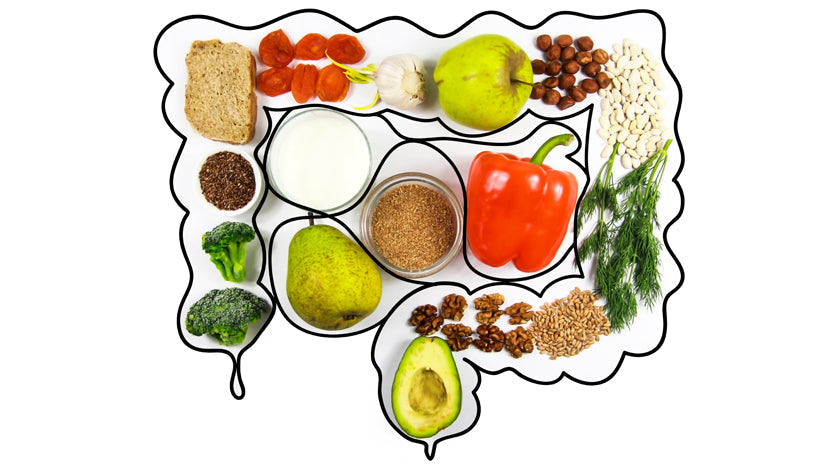 Do-I-need-Probiotics-and-Prebiotics.|Probiotics and Prebiotics