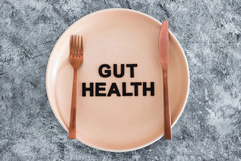 |Fermented Foods for a Healthy Gut