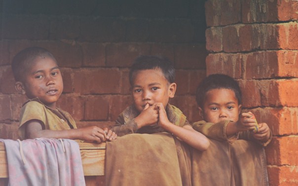1- Gut Bacteria Diversity is Missing in Severe Acute Malnutrition | Malnutrition