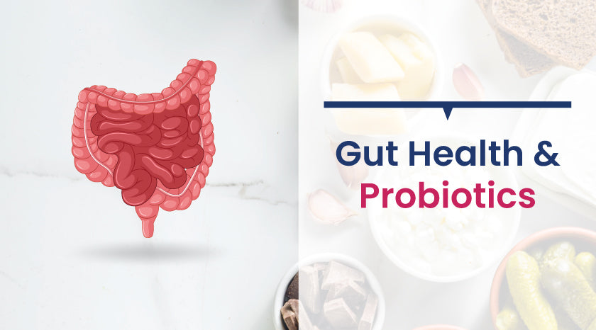 Gut Health and Probiotics|Gut Health and Probiotics