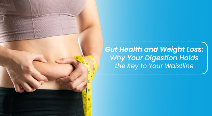 Gut Health and Weight Loss Why Your Digestion Holds the Key to Your Waistline|Gut Health and Weight Loss Why Your Digestion Holds the Key to Your Waistline