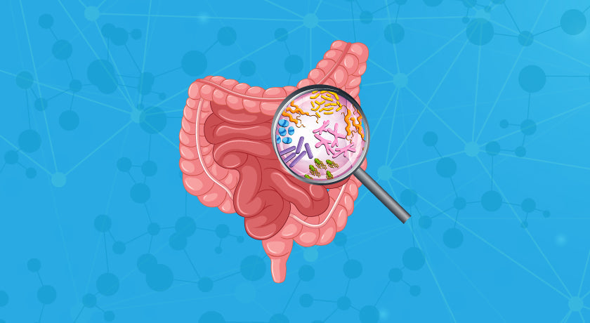 Gut dysbiosis|Feminine Support Probiotics
