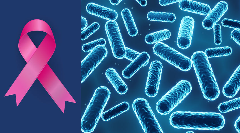 |Hormone Metabolism and Breast Cancer: The Potential Role of Probiotics