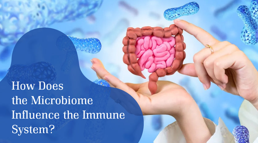 Immune System