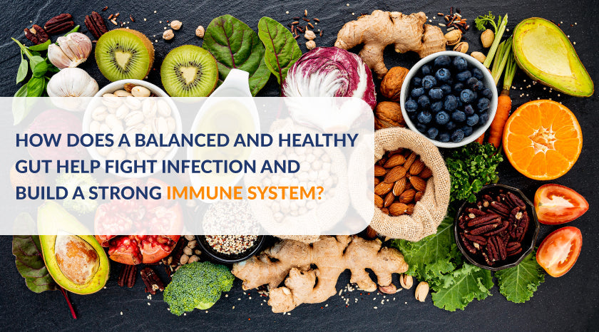 immune cells in the gut interact with the microbiome
