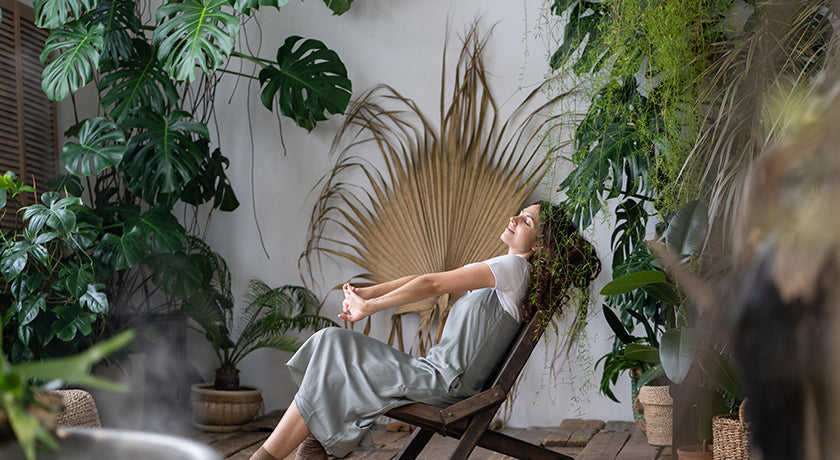 The Quiet Power of Your Inner Ecosystem: Secrets to Daily Harmony
