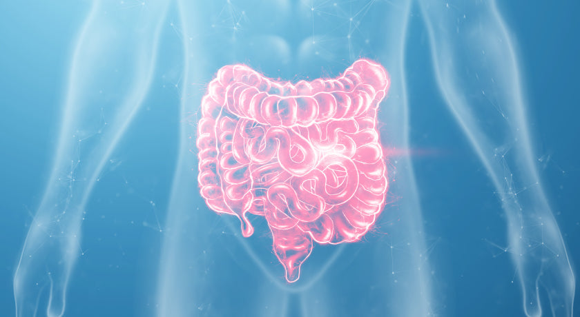 Mastering Your Microbiome|Three Key Ingredients