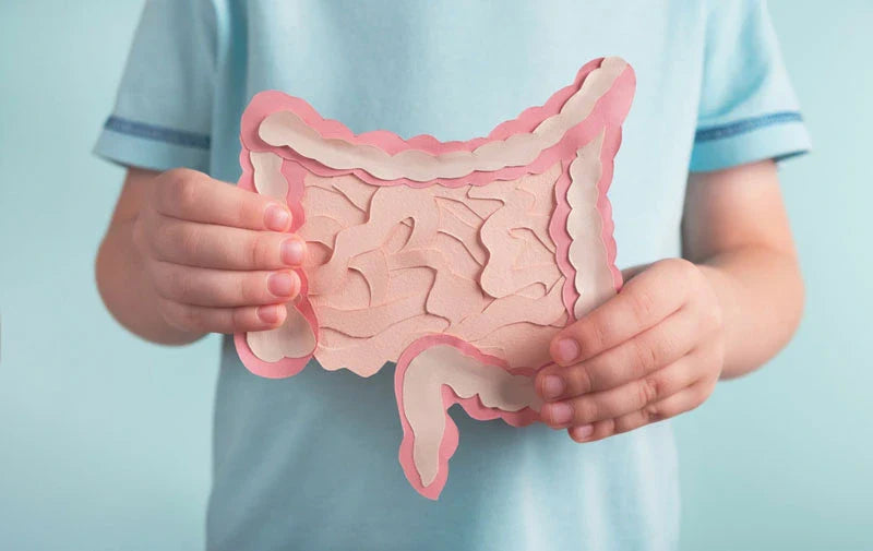 Microbiome Diet|Microbiome Diet|Microbiome Diet|Microbiome Diet