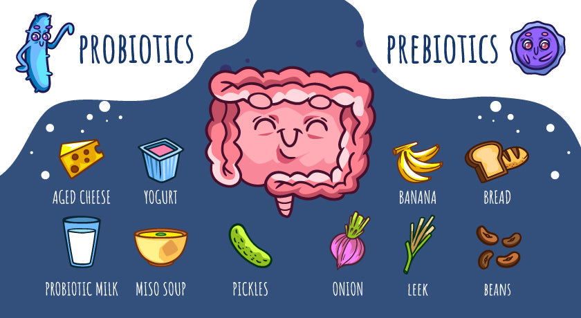 Prebiotics vs Probiotics|Gut Health Benefits|Prebiotics vs Probiotics
