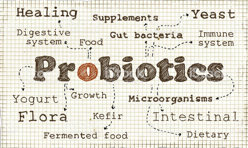 1- ARE YOU CONFUSED ABOUT PROBIOTICS? | Natural Probiotics