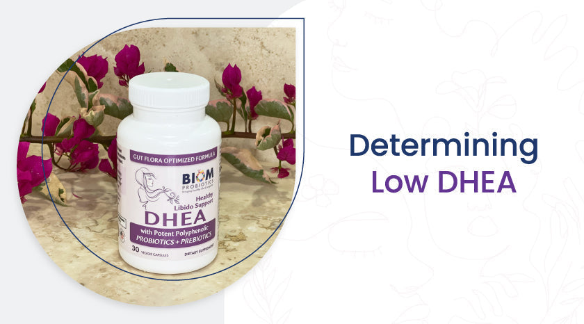Spotting Signs of Low DHEA--Banner|