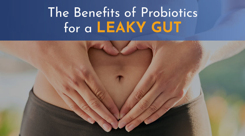 Probiotics for a Leaky Gut|Probiotics for a Leaky Gut|Probiotics for a Leaky Gut|The Benefits of Probiotics for a Leaky Gut