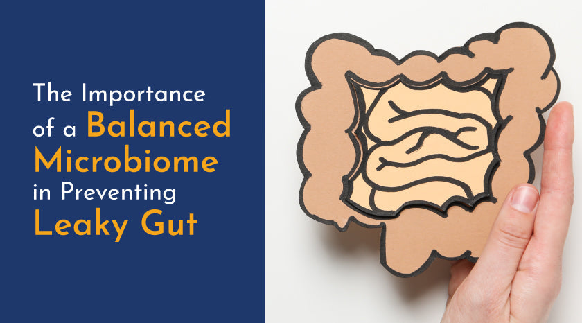 Preventing Leaky Gut|Preventing Leaky Gut