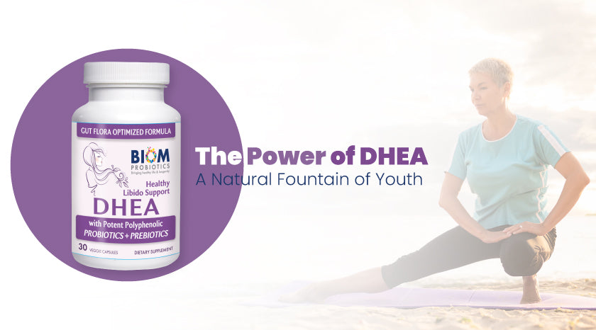 The Power of DHEA A Natural Fountain of Youth||Biom DHEA
