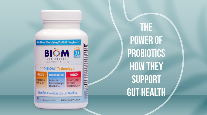 The Power of Probiotics How They Support Gut Health