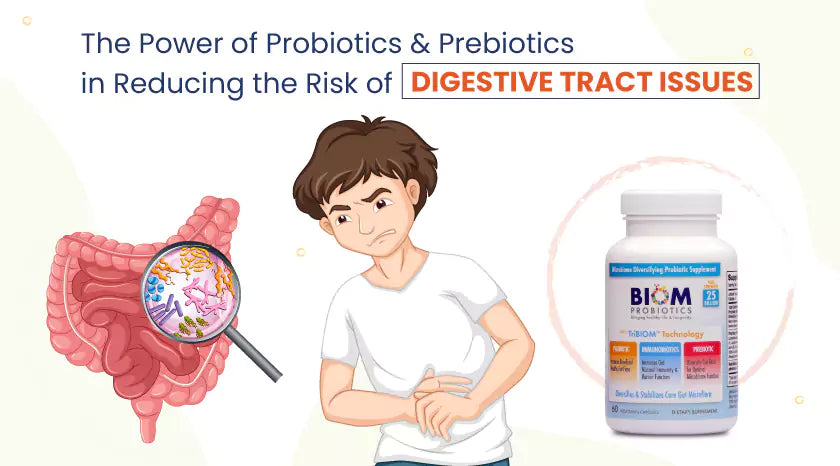 Digestive Tract Issues: The Impact of Probiotics and Prebiotics|Digestive Tract Issues: The Impact of Probiotics and Prebiotics