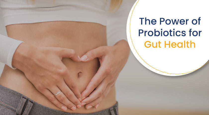 The Power of Probiotics for Gut Health--Banner|The Power of Probiotics for Gut Health--CTA