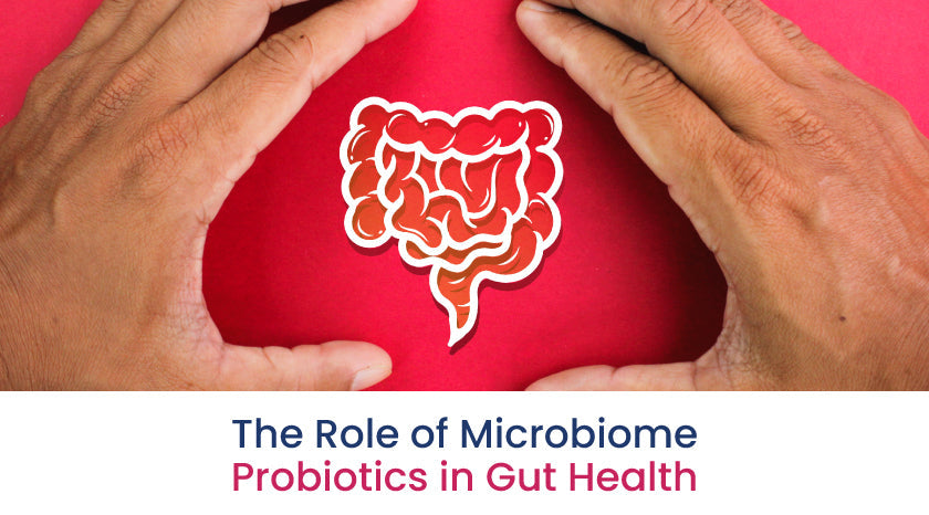 The Role of Microbiome Probiotics in Gut Health|Microbiome Probiotics in Gut Health