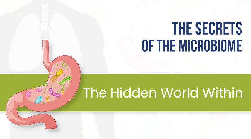 The Secrets of the Microbiome The Hidden World Within|