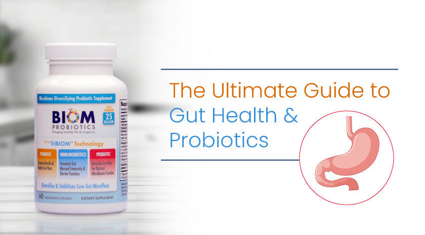 |Gut Health and Probiotics