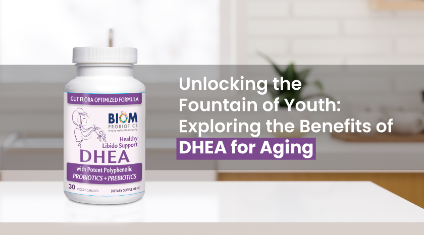 Unlocking the Fountain of Youth Exploring the Benefits of DHEA for Aging|