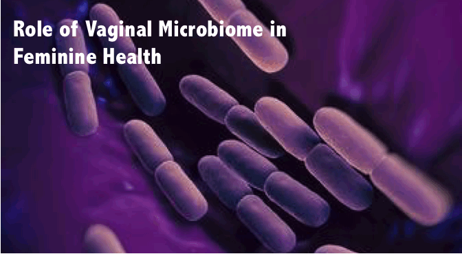 1- Are You Taking Care of Your Healthy Vaginal Microbiome? | Vaginal Microbiome|1- Gut Microbiome Human Health Probiotics | Biom Probiotics | Probiotics|Gut Microbiome Human Health Probiotics | Biom Probiotics | Probiotics