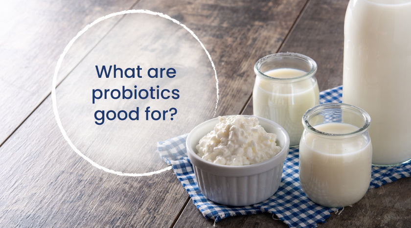What are probiotics good for|probiotics