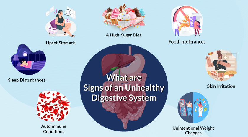 signs-of-an-unhealthy-digestive-system-Banner.|