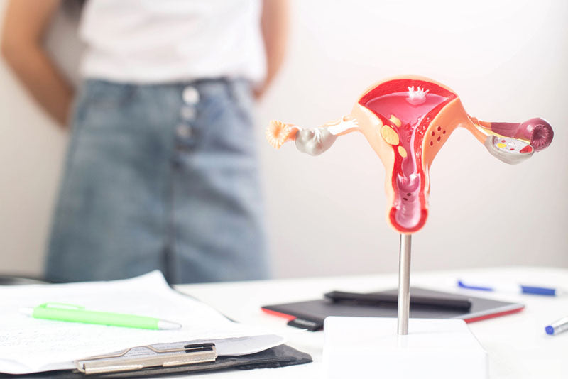 |Why Is Menstrual Cycle Getting Longer