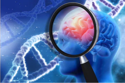 1- MICROBIOME-BALANCING PROBIOTICS | DEBILITATING BRAIN DISEASES
