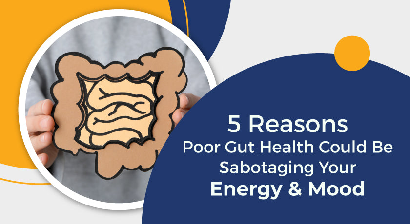gut-health|total-gut-health