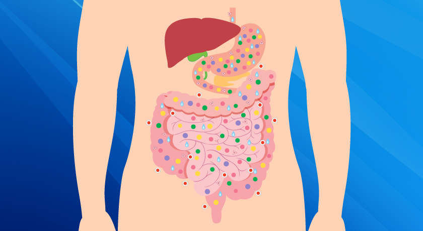 gut microbiome and obesity|Diversify LeanBiom Weight Management Formula
