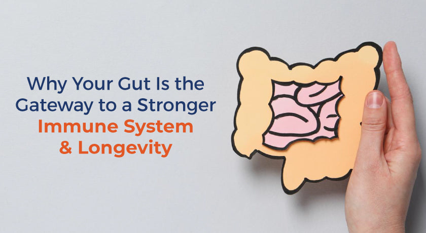 immune-system|total-gut-health