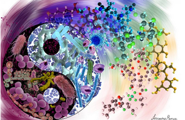 1- News | BIOM Probiotics | Sarasota | Microbiome’s health | Probiotics