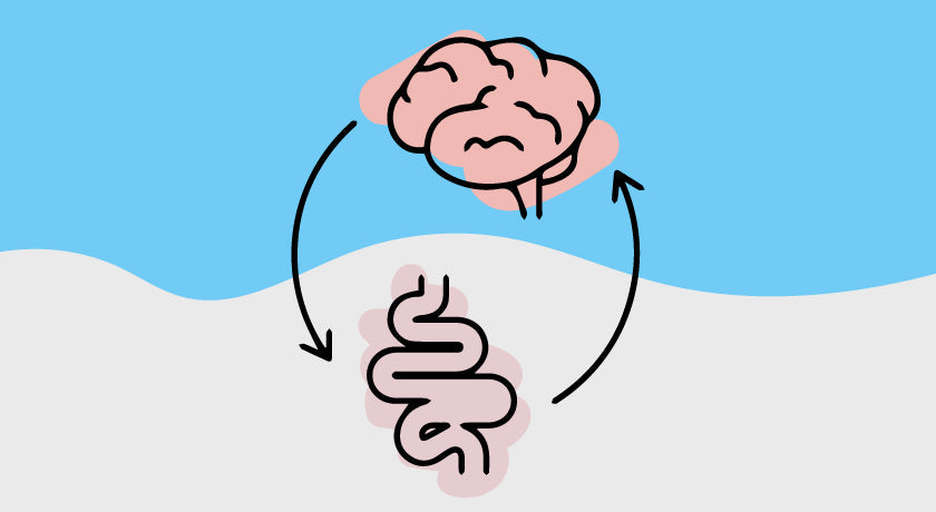 mood gut connection|mood gut connection