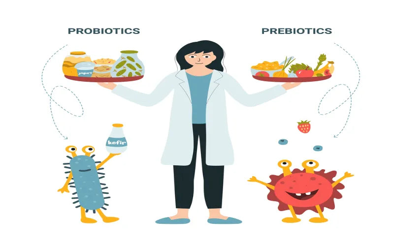 whats-the-difference-betwee- probiotics-and-prebiotics|clinical-studies-on-probiotics-vs-prebiotics