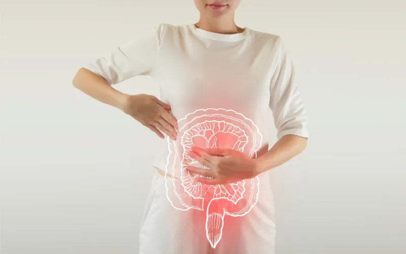 do probiotics help with constipation
