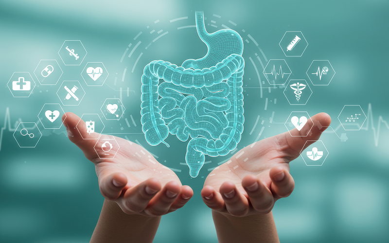 probiotic-gut-health-microbiome-diversity.png