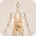 Biom Pharmaceuticals lifestyle