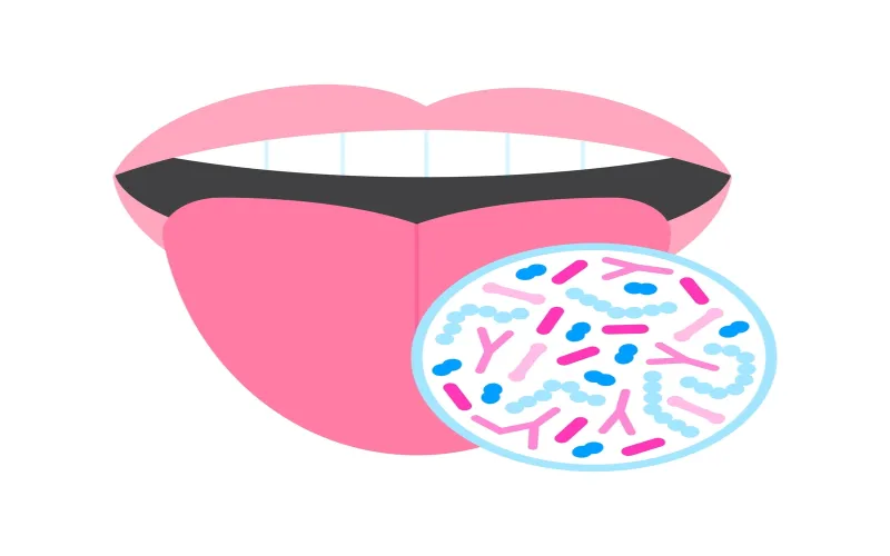 oral-microbiota